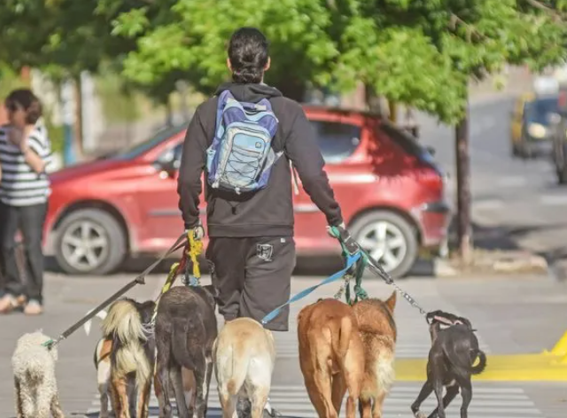 NEUQUÉN: Un hombre a puñaladas a un paseador de perros - Resumen