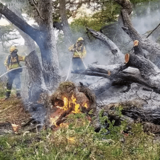 STA. CRUZ: Procesaron al turista brasileño que provocó un incendio en El Calafate y ordenaron un embargo millonario