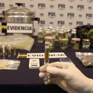 PTA. ARENAS: Primera vez en Magallanes: Incautan dosis de droga DMT conocida como “la molécula de Dios”