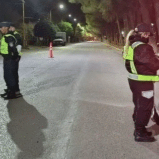 NEUQUÉN: Secuestraron cinco autos en Centenario: uno de los conductores triplicaba el límite permitido de alcohol en sangre