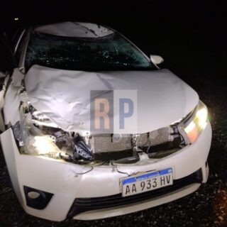 Un automóvil impactó contra un caballo en ruta 3 y ambos ocupantes salieron ilesos