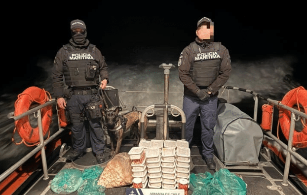PTO. NATALES: Gran incautación en el Golfo Almirante Montt: Tráfico Ilegal de Centolla y Pulpo
