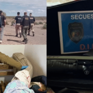 PTO. MADRYN: Desmantelan carnicería clandestina y secuestran armas