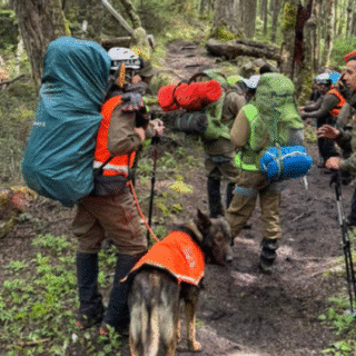 PTA. ARENAS: La peor tragedia en el Paine cobra la vida de cinco turistas extranjeros