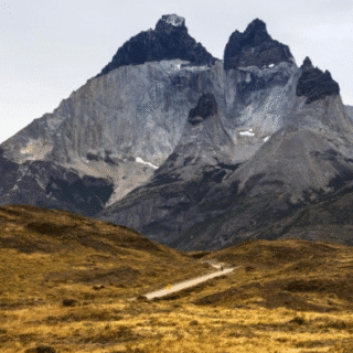 PTA ARENAS: Sobrevivientes de tragedia en Torres del Paine denuncian “obstrucción” de Conaf y falta de apoyo para evacuación