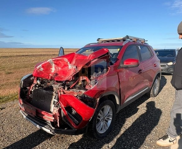 Conductor impactó un guanaco en ruta 3 pero Policía no encontró al animal