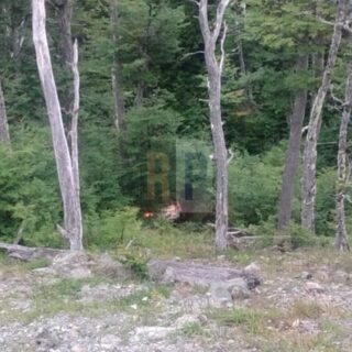 Una camioneta se desbarrancó en el precipicio del paso Garibaldi