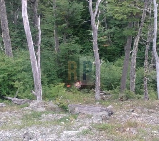 Una camioneta se desbarrancó en el precipicio del paso Garibaldi