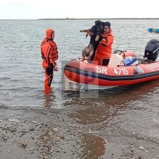 Prefectura realizó dos rescates en el río Grande en los últimos dos días rescatando mascotas y un nadador