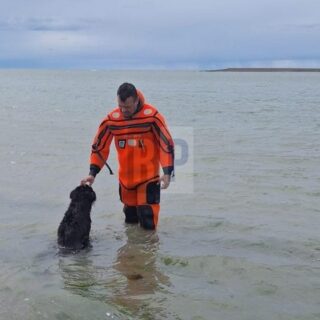Personal de Prefectura rescató a un perro atrapado por la marea en Río Grande