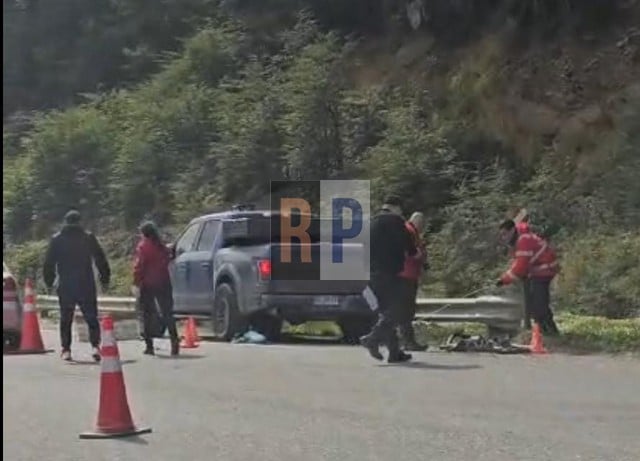 Una reconocida pediatra de Ushuaia, entrenaba en bicicleta por la ruta 3, y murió al ser arrollada por una camioneta