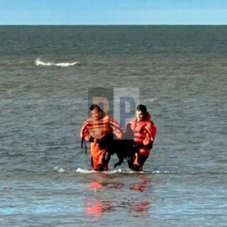 Prefectura rescató a dos perros atrapados en un banco de arena en el río Grande