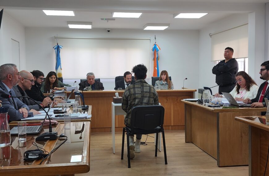 Concluyeron las testimoniales y mañana inician los alegatos en el juicio a Florencia Mansilla