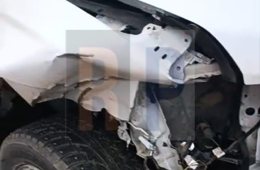 Camioneta chilena impactó contra un guanaco camino a Tolhuin