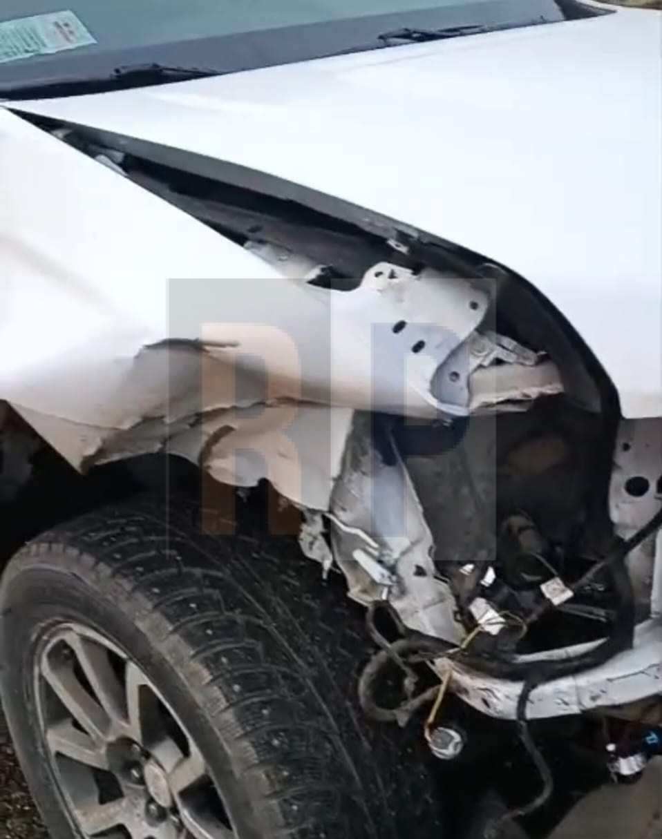 Camioneta chilena impactó contra un guanaco camino a Tolhuin